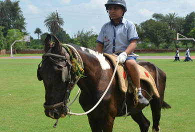 Horse Riding