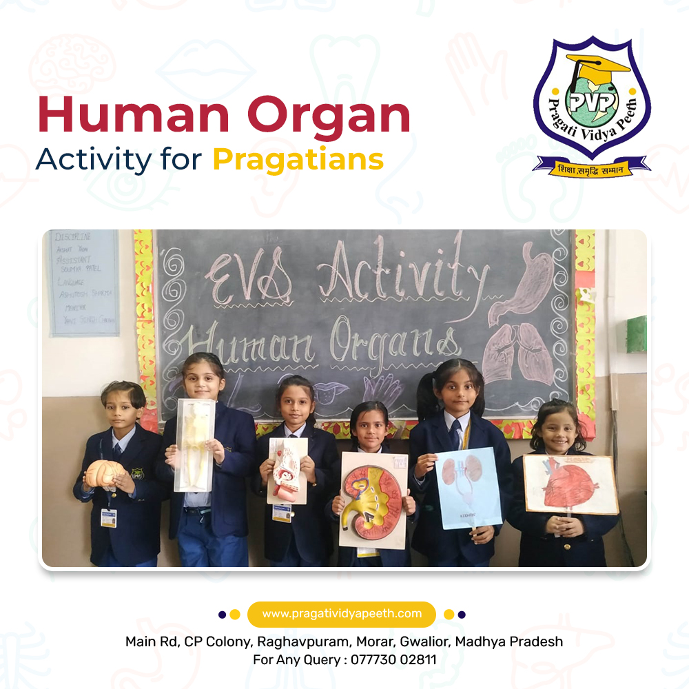 HUMAN ORGAN ACTIVITY FOR PRAGATIANS