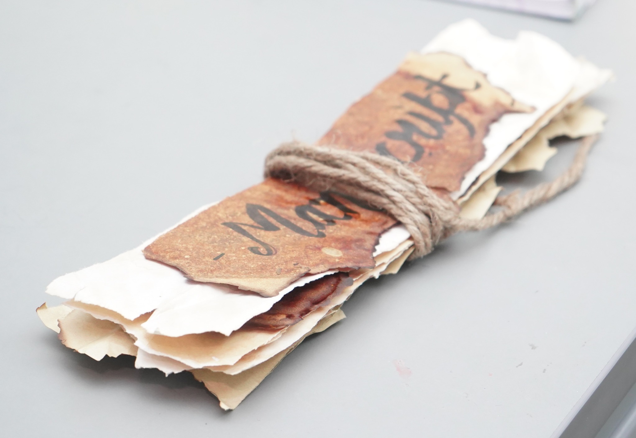 Manuscript writing activity