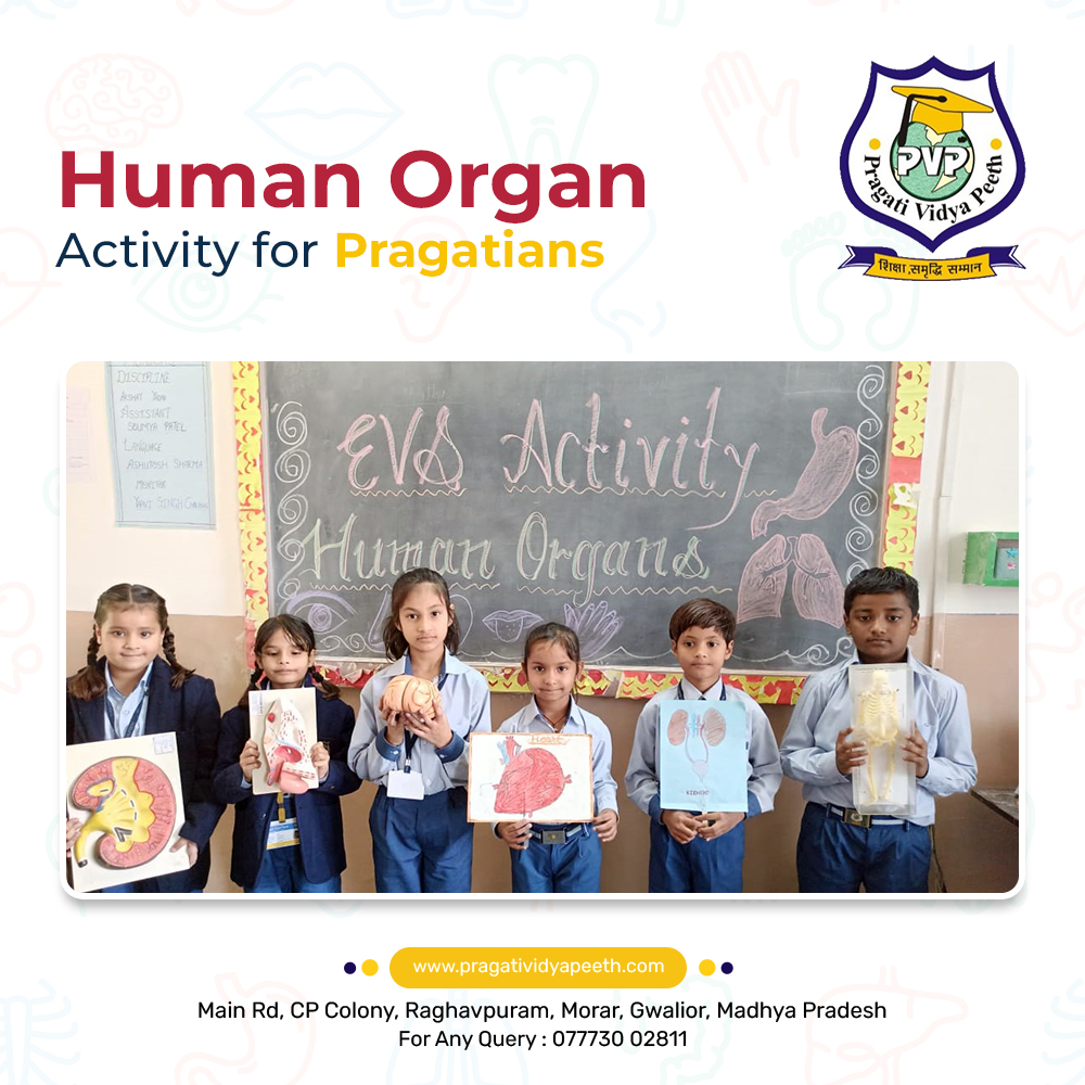 HUMAN ORGAN ACTIVITY FOR PRAGATIANS