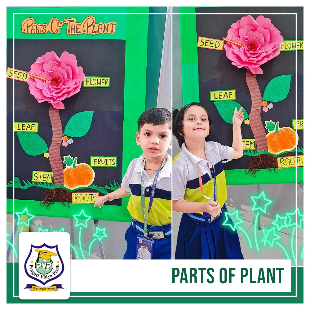 Parts of Plants